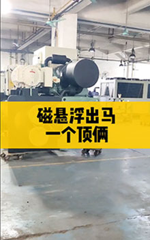 磁懸浮出馬，一個頂倆！